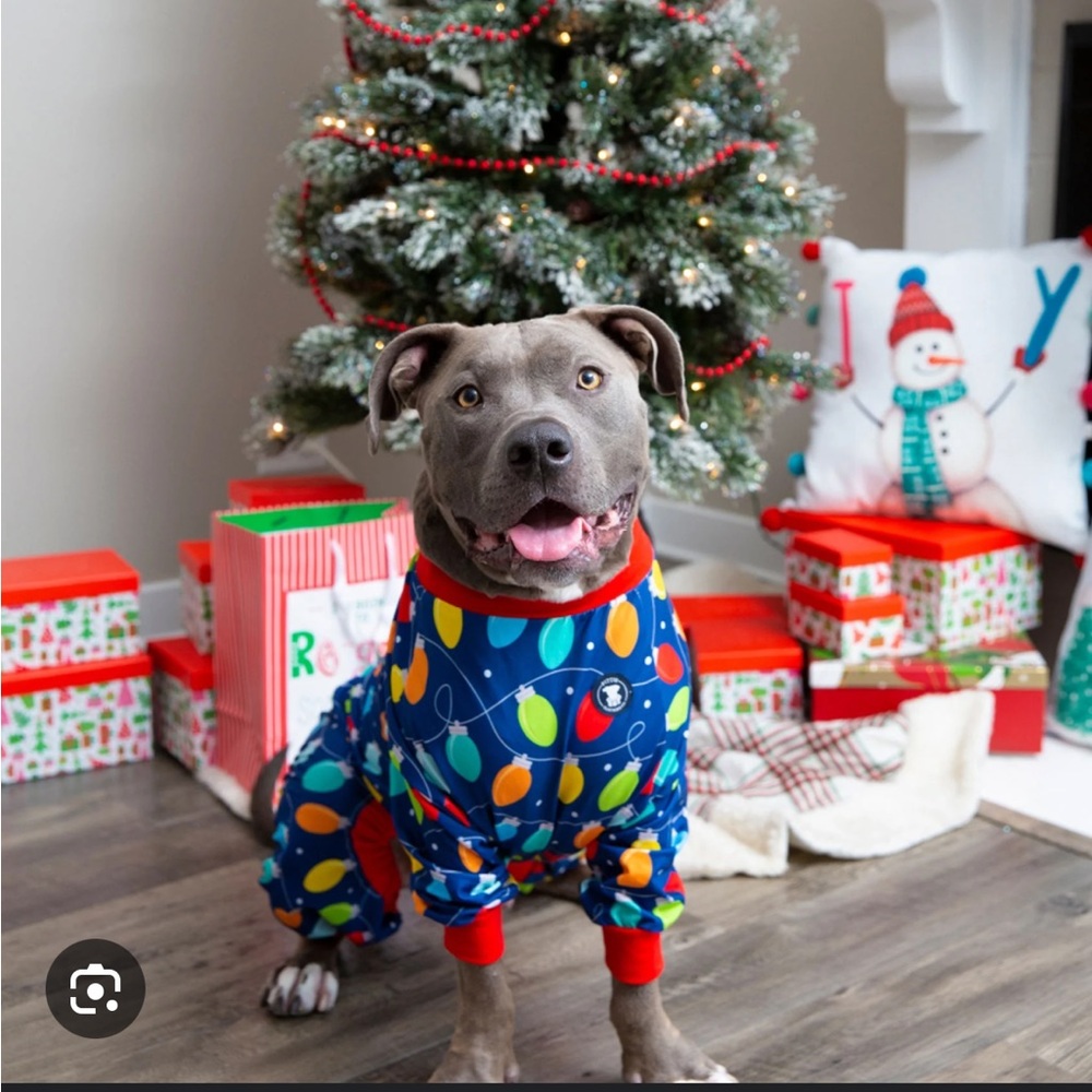 Holiday Colorful Dog Pajamas with Light Bulb Pattern- by Pittie Clothing